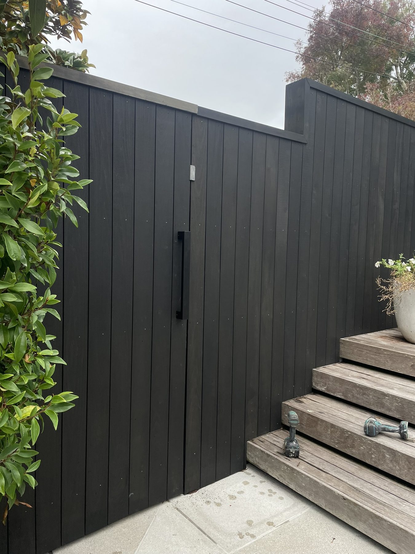 Black stained cedar fence with hidden gate panel
